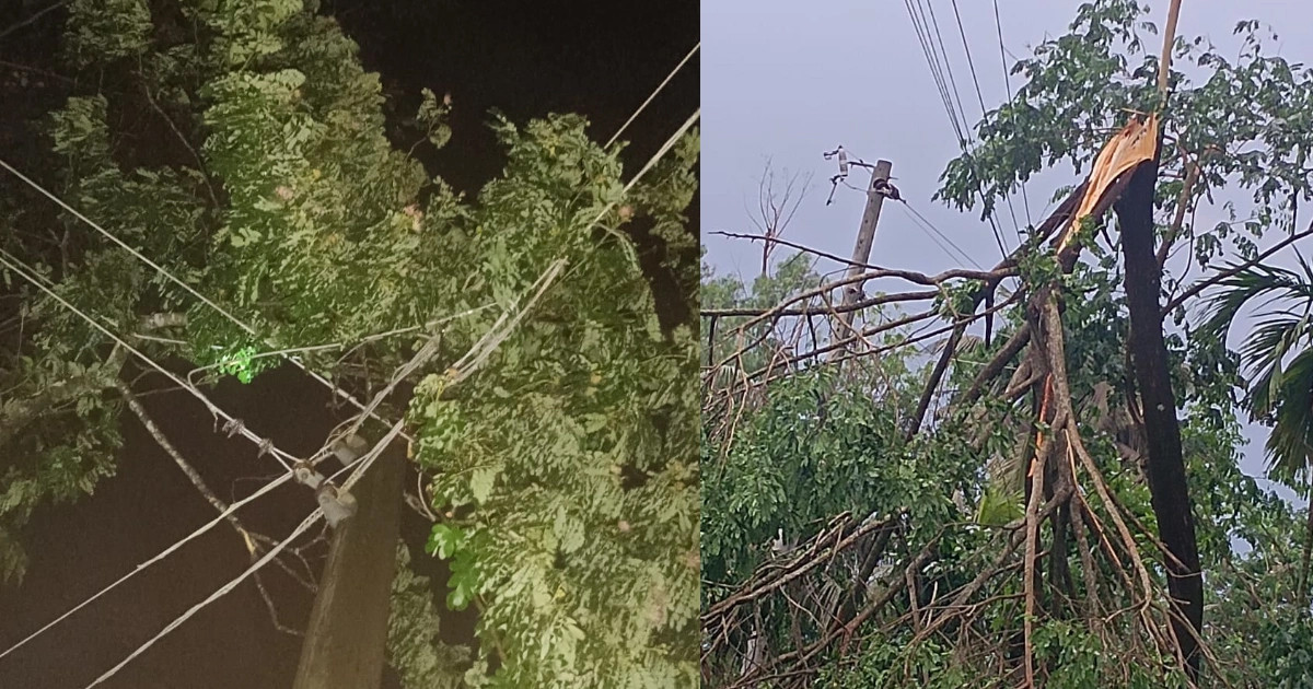 ৭ মে পর্যন্ত টানা বৃষ্টির শঙ্কা, হাওরজুড়ে ফসলহানির শঙ্কা বাড়ছে