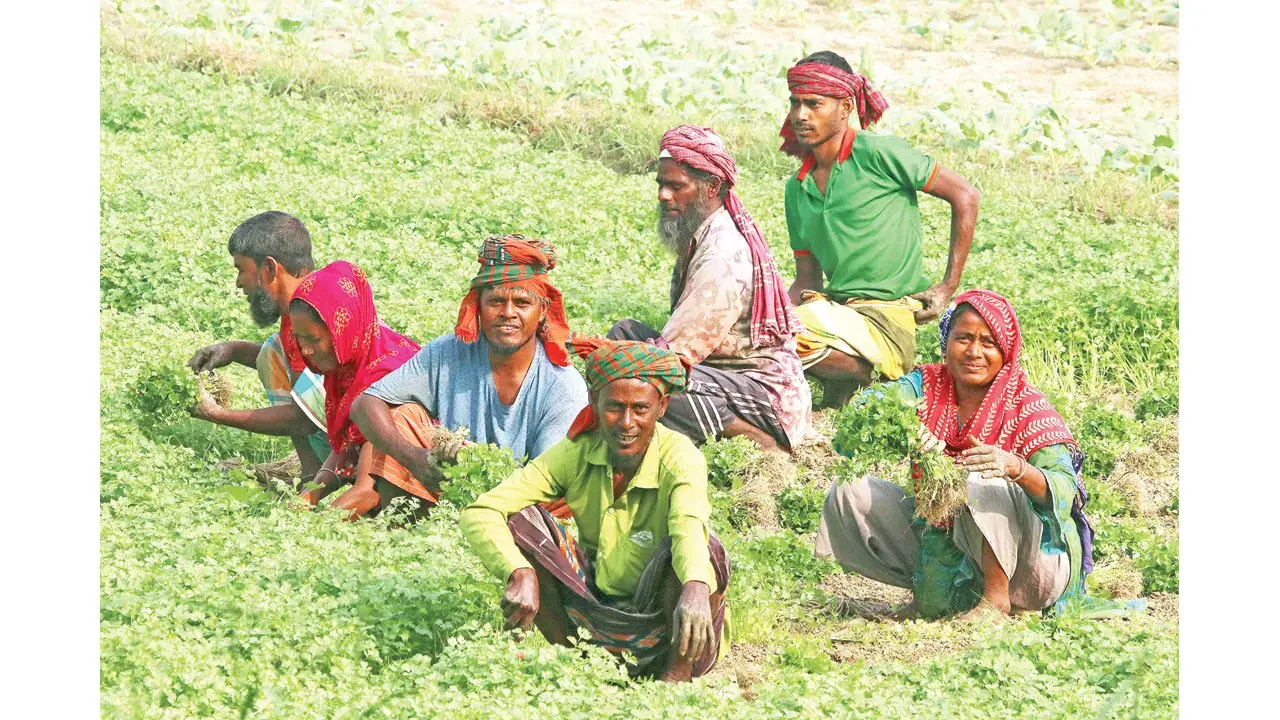 ‘ব্যবস্থাপনাগত একত্রীকরণে’র মধ্যেই ভবিষ্যৎ কৃষির সাফল্য নিহিত