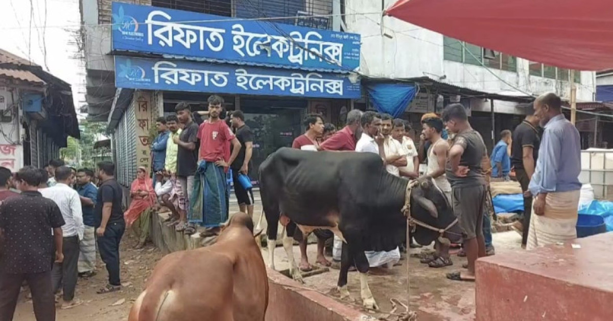 গাজীপুরে ডাকাতির শিকার আটটি গরু উদ্ধার, আটক ৪