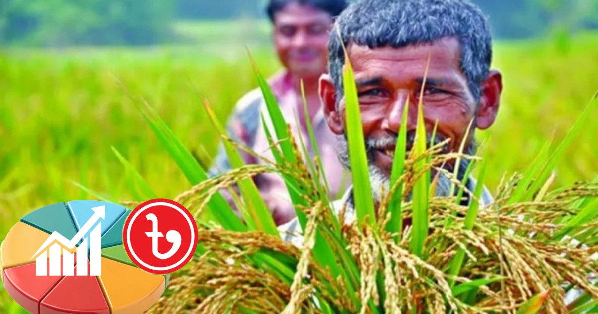 কৃষিতে কর-ছাড়ের মহাপ্যাকেজ, কাজুবাদাম ও পাঙ্গাস আমদানিতে কঠোর শুল্ক