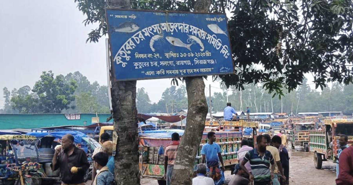ইজারা জটিলতায় সলঙ্গার কুতুবের চর মৎস্য আড়ৎ, কোটি টাকার রাজস্ব হারাচ্ছে সরকার