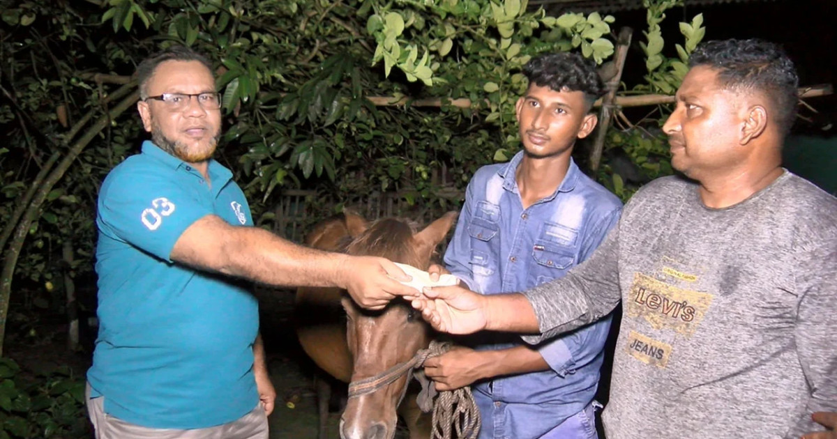 অন্ধ ঘোড়ার মানবিক আশ্রয়দাতা সোহানের পাশে প্রধানমন্ত্রী তারেক রহমান