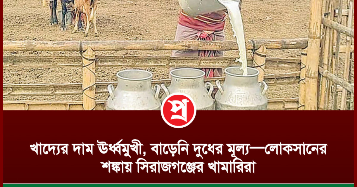 জুলাই আন্দোলন নিয়ে ‘আপত্তিকর মন্তব্যের’ অভিযোগ, আনিস আলমগীর-সোমা-পিয়াসহ ৬ জনের বিরুদ্ধে শাহবাগ থানায় জিডি