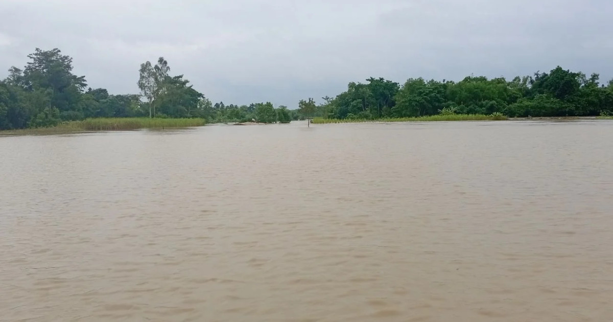 ধলাই নদীর বাঁধ ভেঙে মৌলভীবাজারে ভয়াবহ বন্যা, পানিবন্দি ১০ হাজার মানুষ