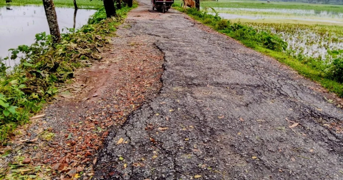 তারাগঞ্জ-বুড়িরহাট সড়ক যেন মরণফাঁদ, দুর্ভোগে ১৫ গ্রামের মানুষ