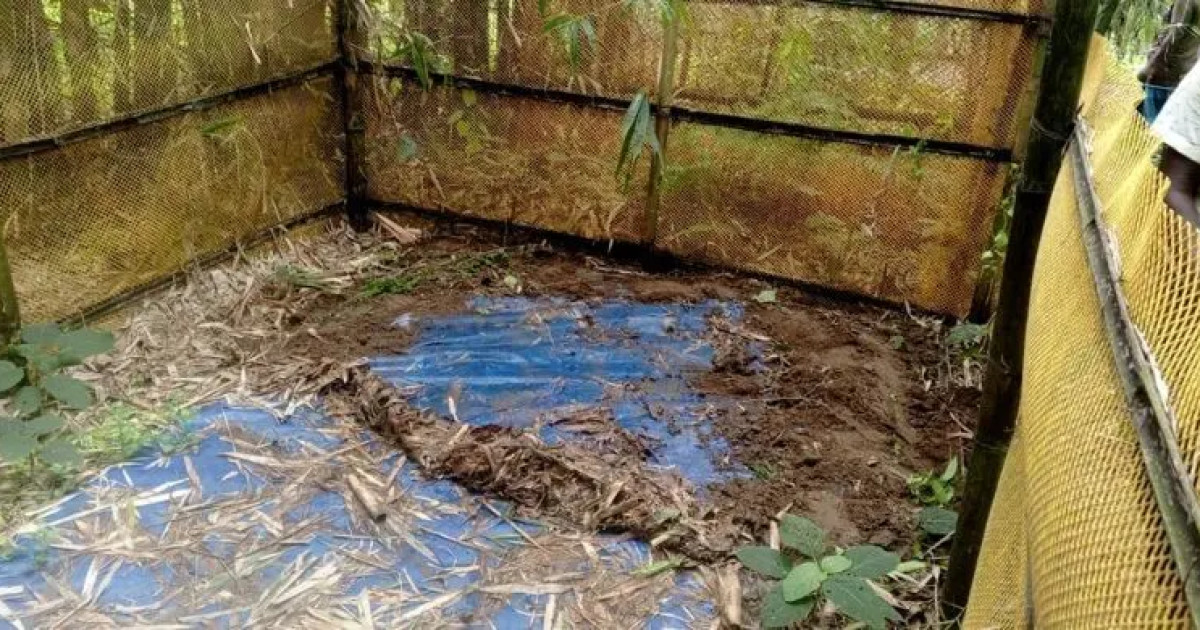 ঠাকুরগাঁওয়ে কবর খুঁড়ে ৫ কঙ্কাল চুরি