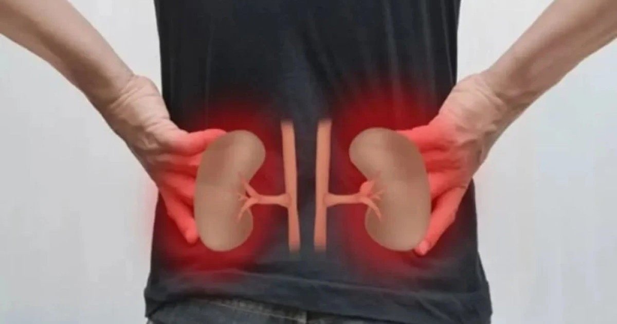 https://prothomdorpan.com/admin/fav-icon-logo/image/1761146741.250..125.jpg